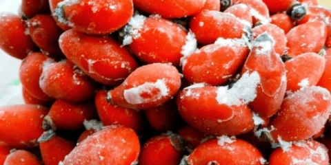 Kako pravilno i koliko možete čuvati šipak kod kuće